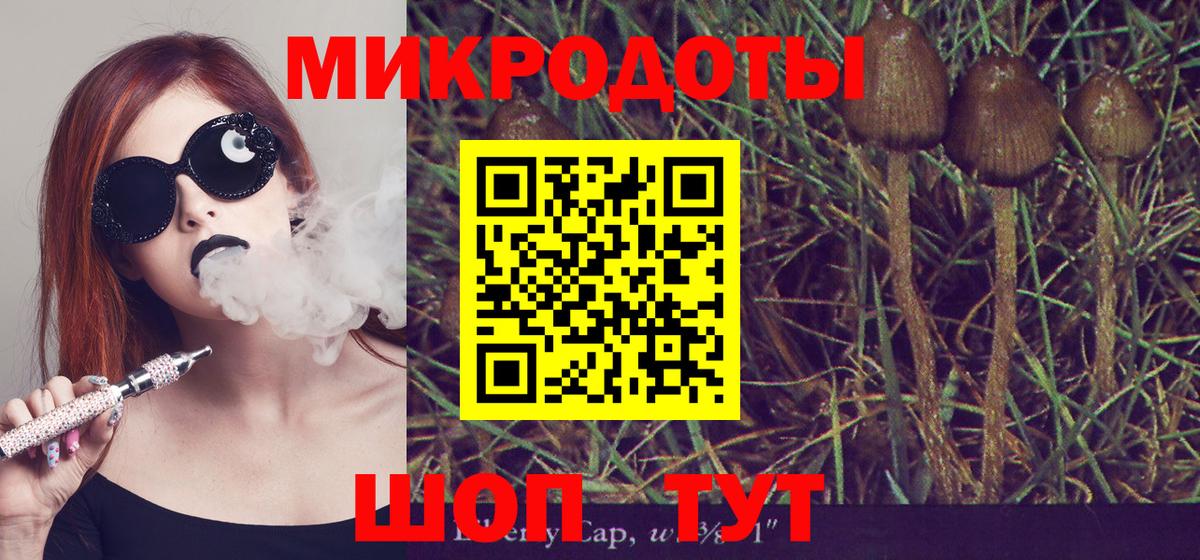 Серов  Галлюциногенные грибы MAGIC MUSHROOMS  Вход с VPN  Галлюциногенные грибы прущие грибы 